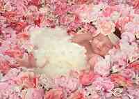 Portrait Artistry by Linda Marie