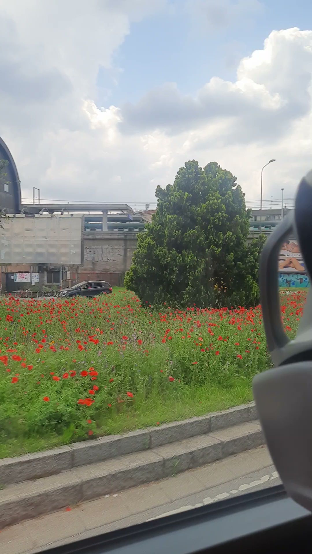 Dr. Edward L. Milano, MD