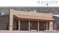 Gallien Therapy Services