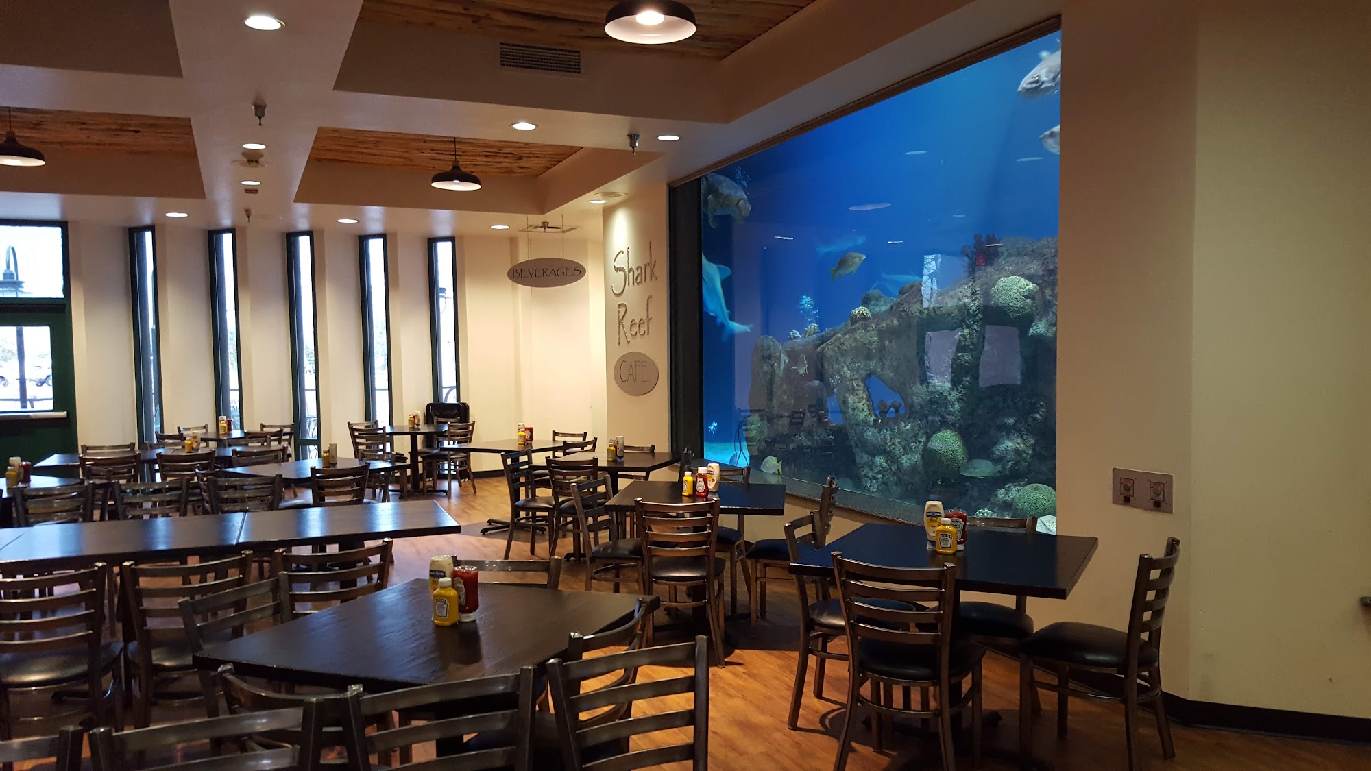 Shark Reef Cafe