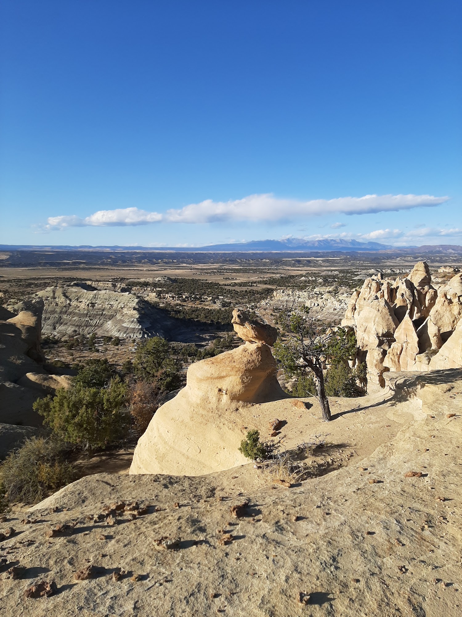 Frank's Mobile RV Services