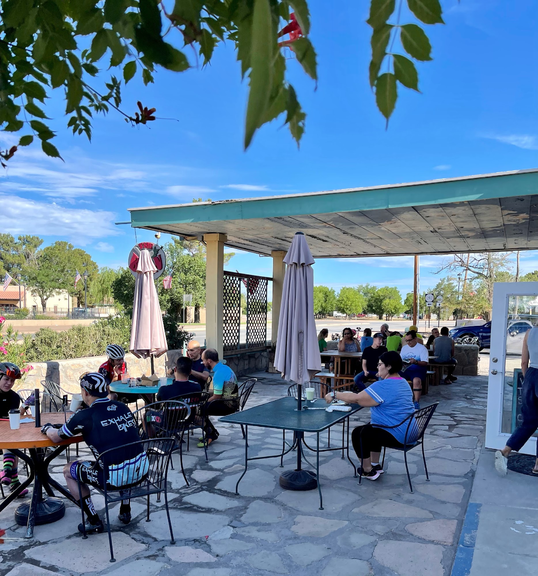 The Bean of Mesilla