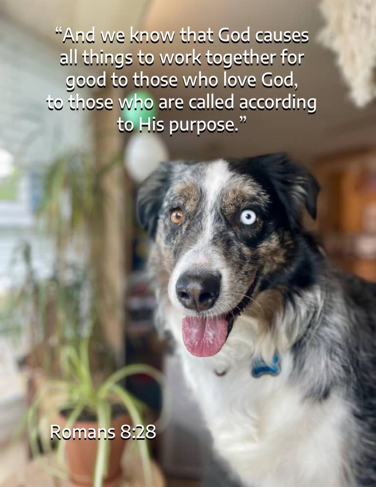 Photo credit: 