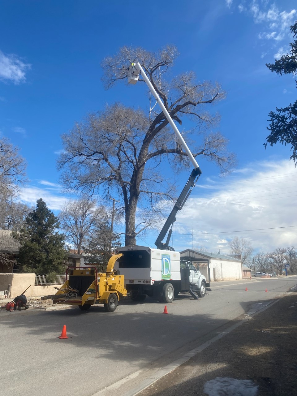 Duprees Trees, Llc 30 Criswell Dr, Tijeras New Mexico 87059