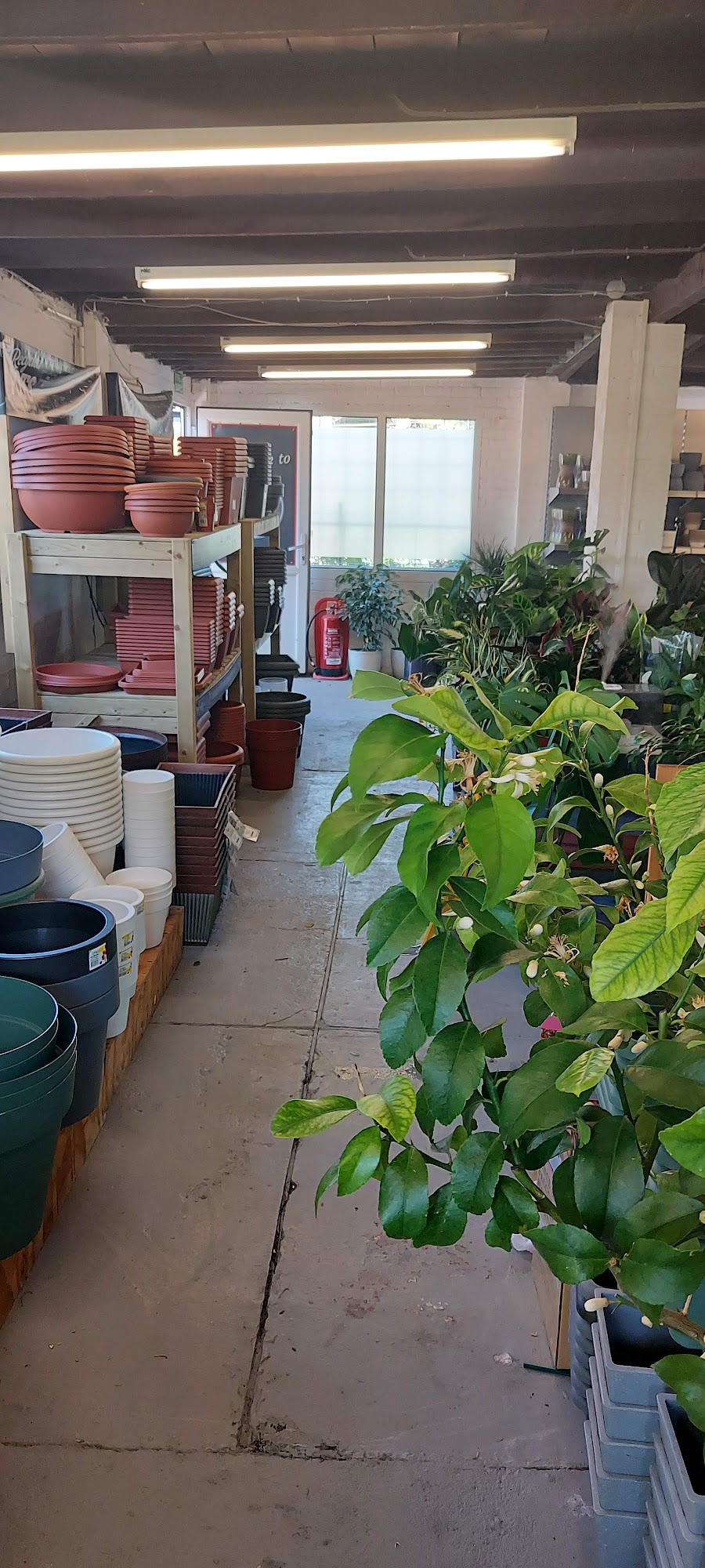 ISE Garden Centre