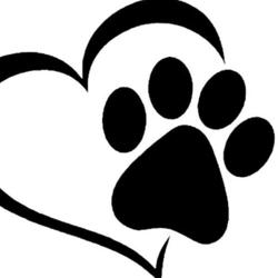 Bow Meow Pet Grooming