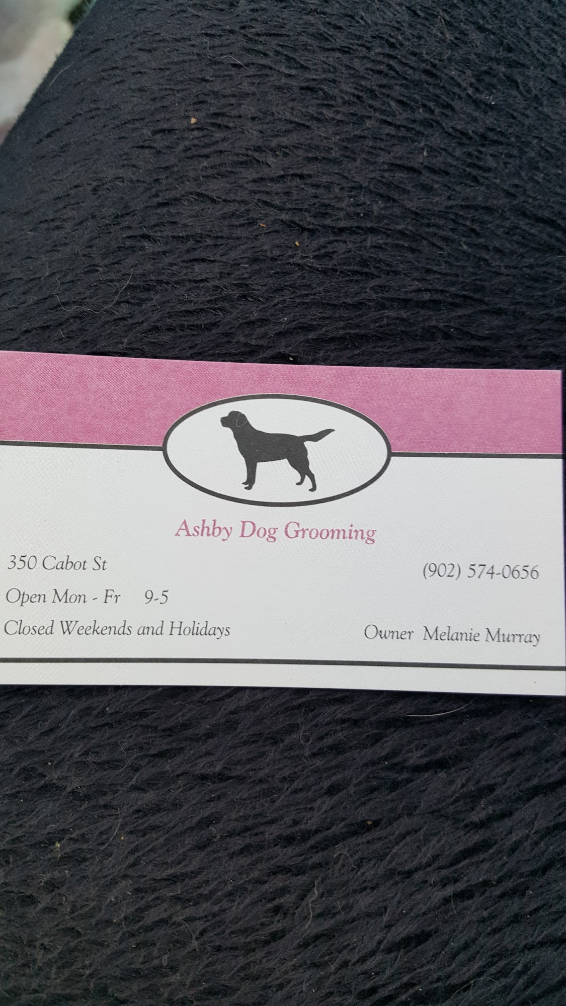 Ashby Dog Grooming