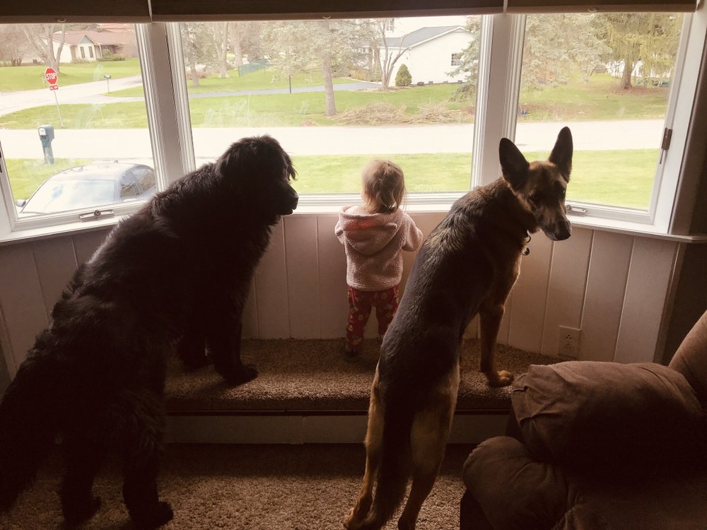 Photo credit: 