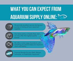 Aquarium Supply Online