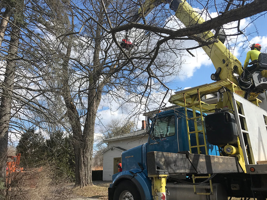 Select Logging & Tree Care 1296 Randolph Rd, Alfred Station New York 14803