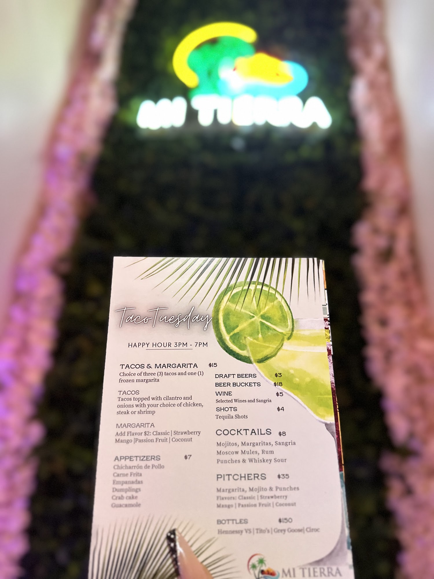 Mi Tierra Latin Fusion Restaurant & Bar Menu