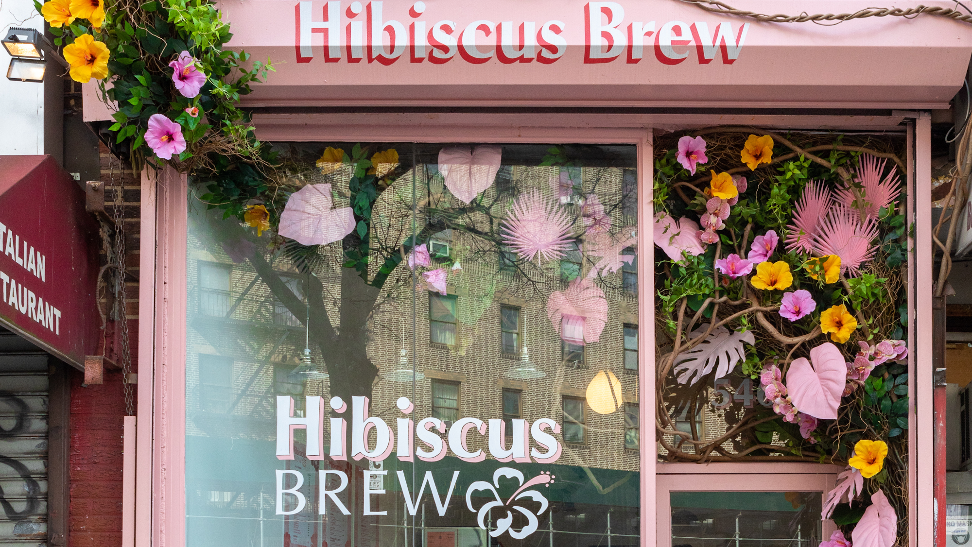 Hibiscus Brew