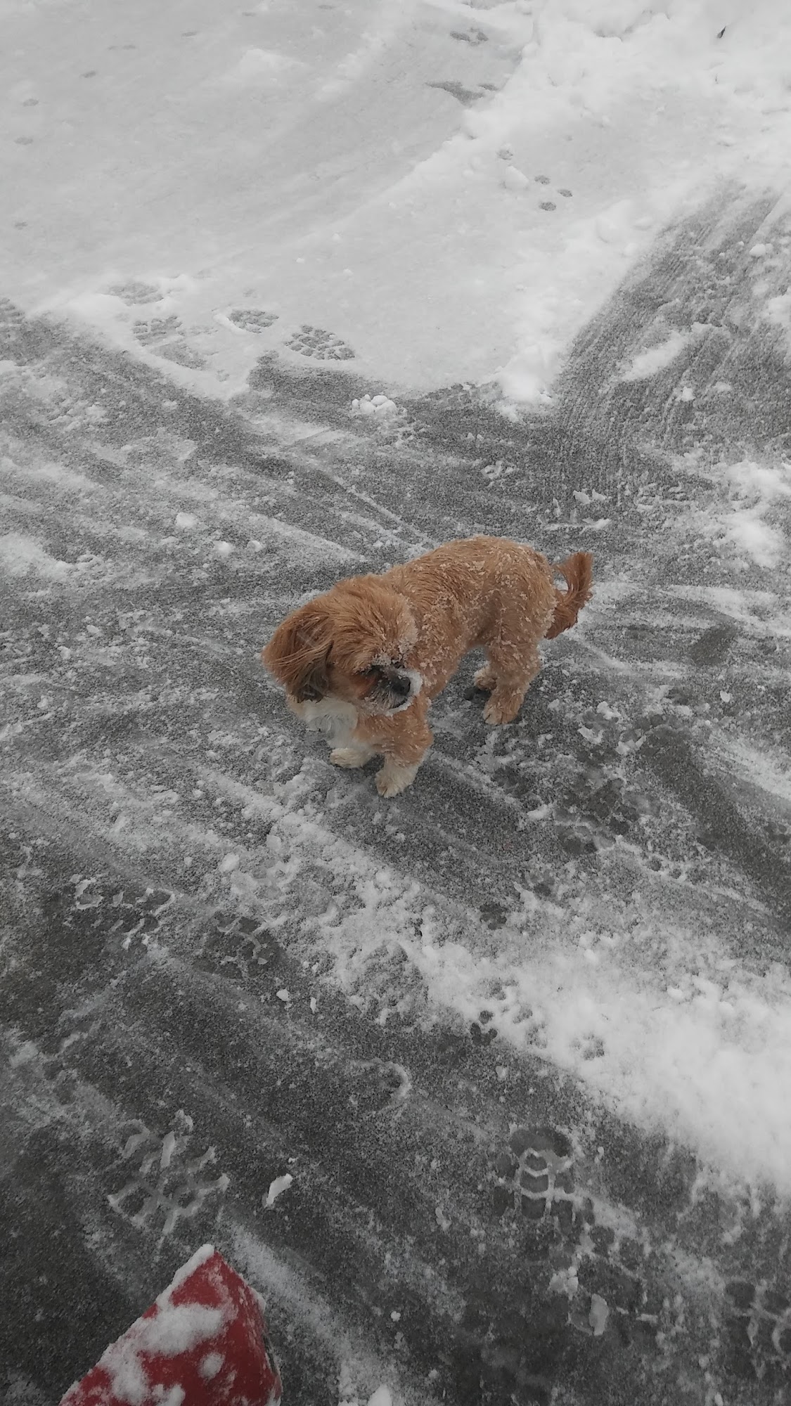 S & S Concrete and Soil Testing