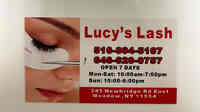 Lucy's Lash