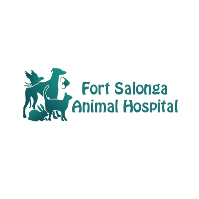 Fort Salonga Animal Hospital 10-1B, Fort Salonga Rd, Fort Salonga New York 11768