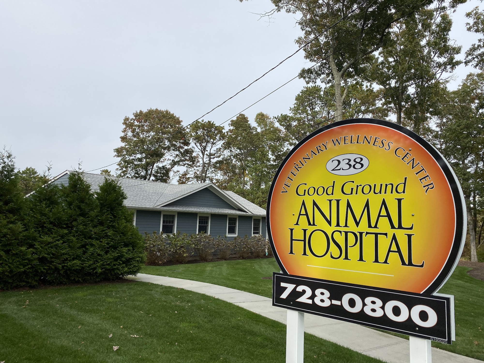 Good Ground Animal Hospital 238 W Montauk Hwy, Hampton Bays New York 11946