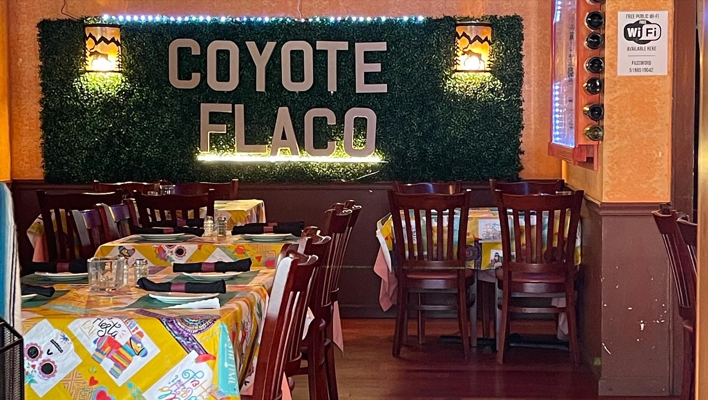 Coyote Flaco