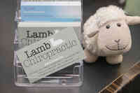 Lamb Chiropractic, Adam Lamb DC