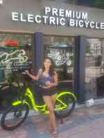 Big Cat Electric Bikes