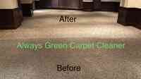 Always Green Carpet Cleaner NYC