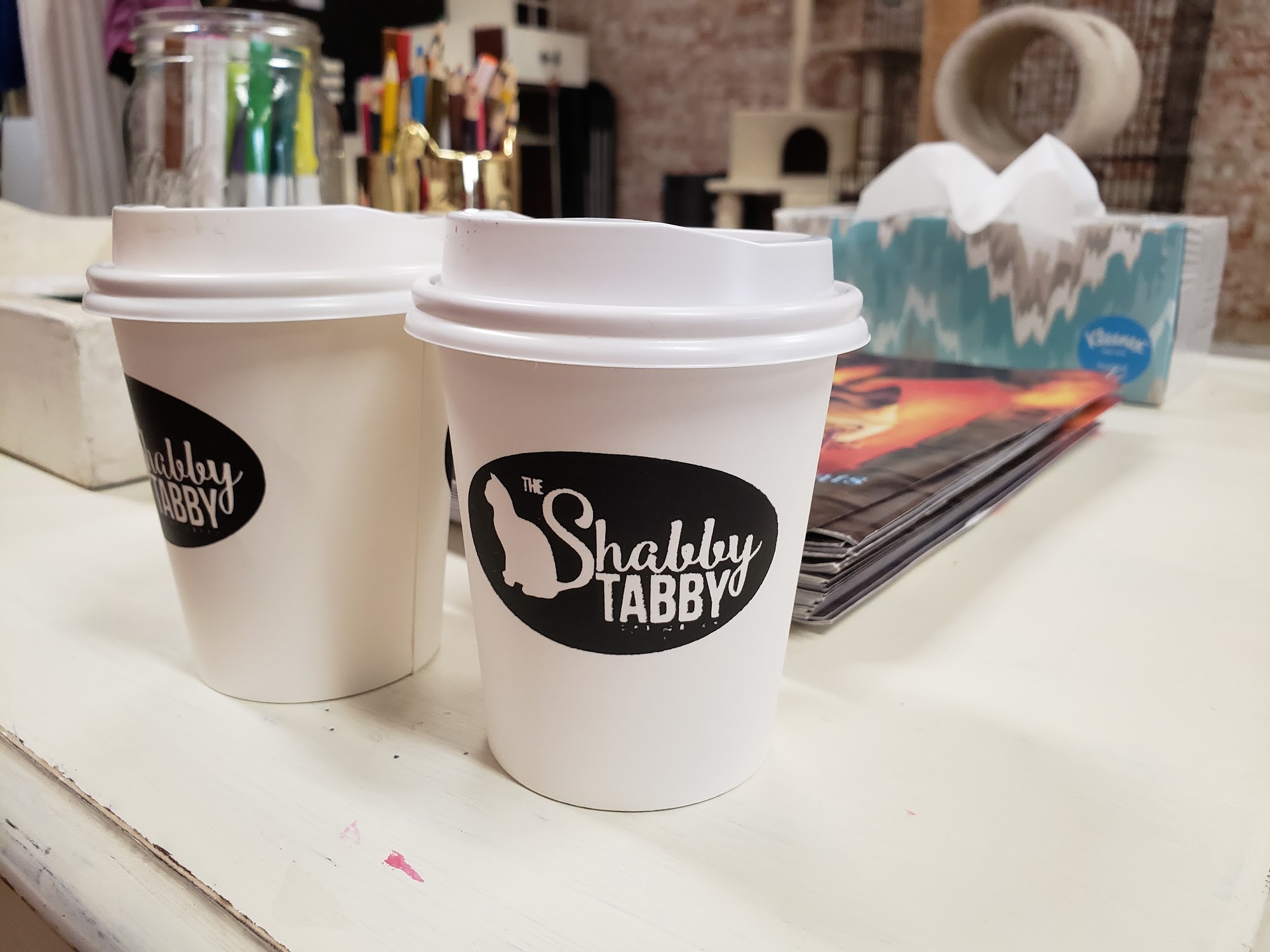 The Shabby Tabby Cat Cafe