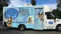 Smithtown Mobile Grooming
