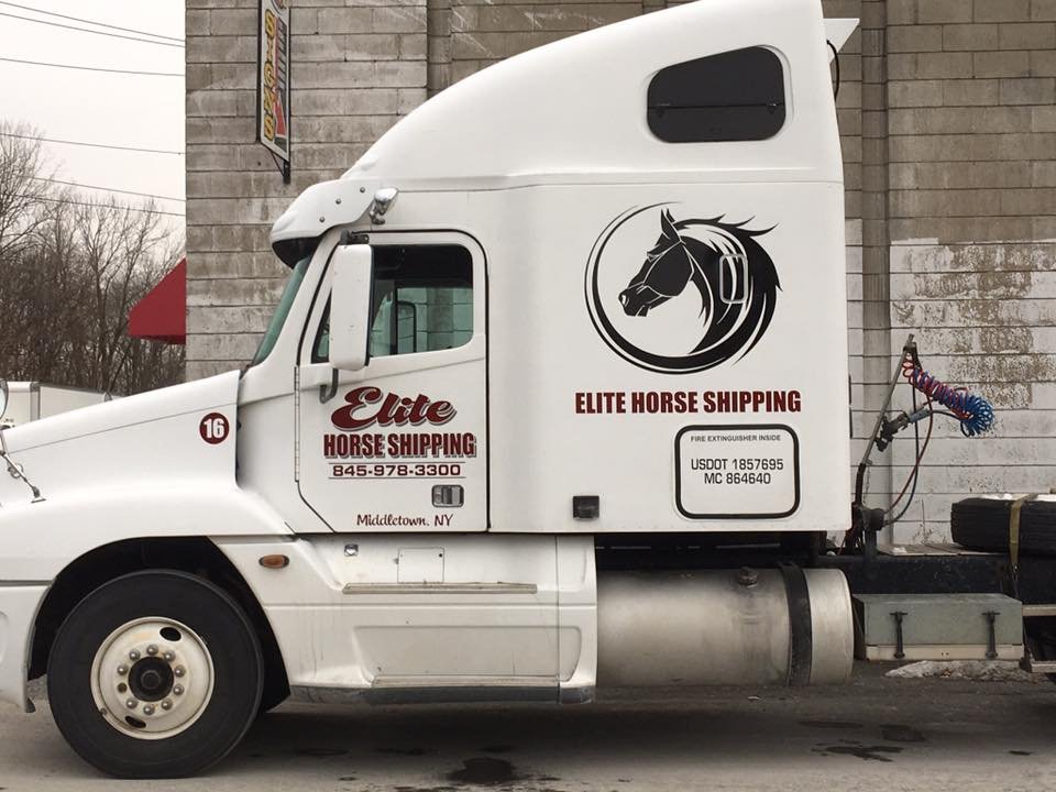 Elite Horse Shipping, LLC Walden