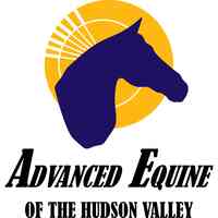 Advanced Equine of the Hudson Valley