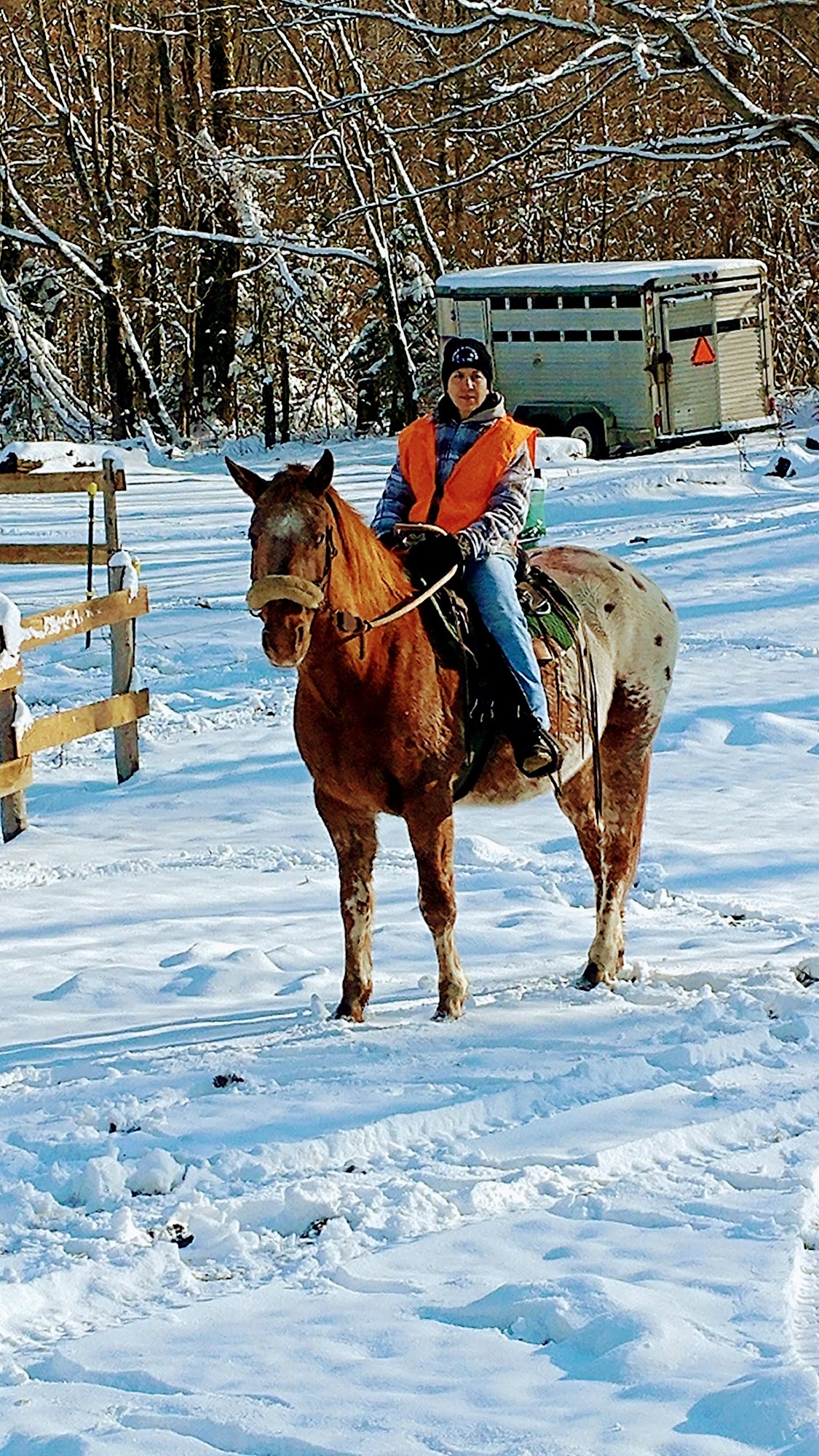 Adventure Horse Riding in NYS 8585 Buck Hill Rd, Westernville New York 13486
