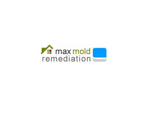 max mold removal 21 Lafayette Dr, Woodmere New York 11598