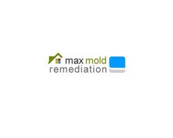 max mold removal