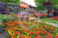 Garden Center at The Home Depot