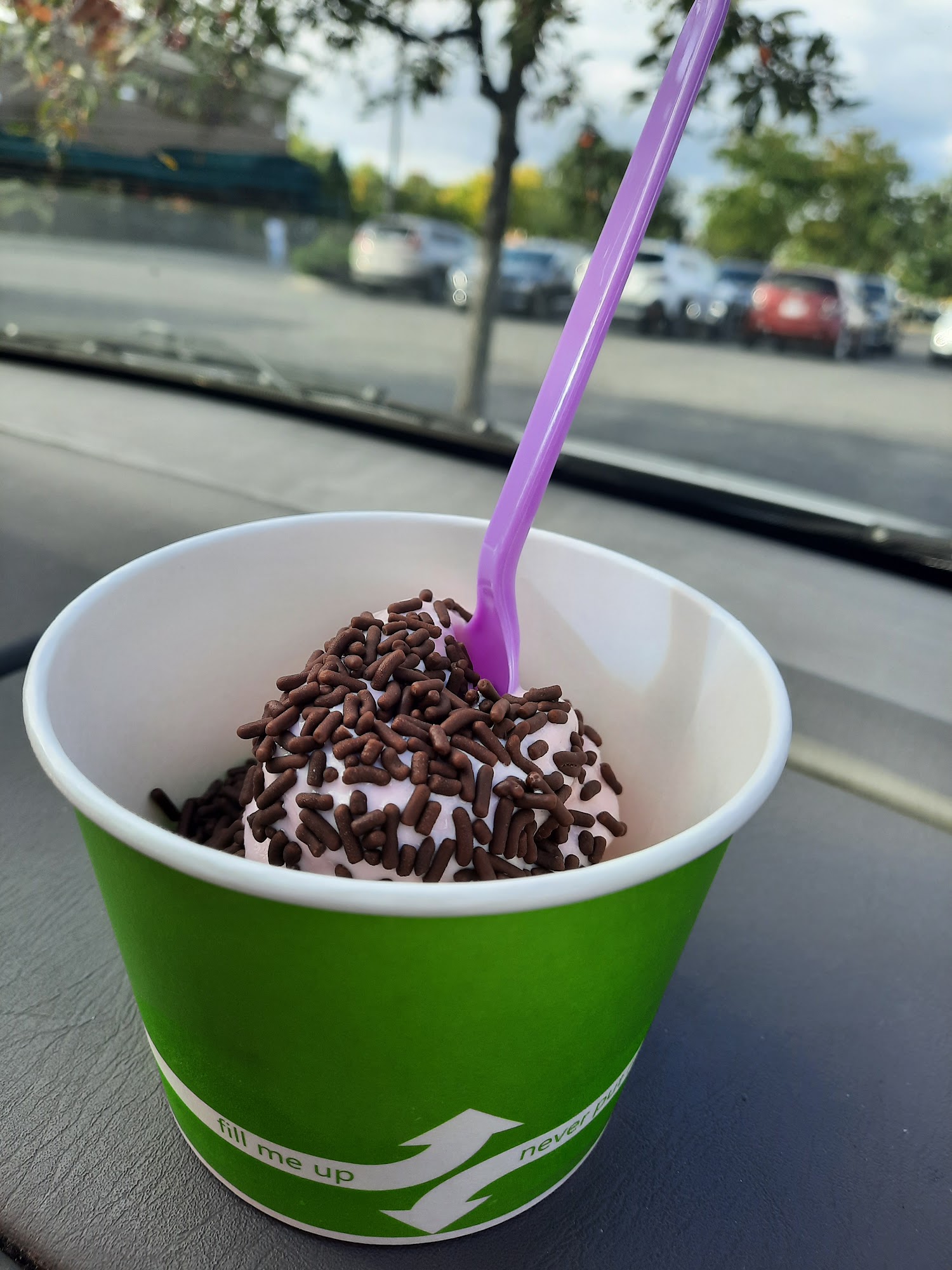 Soyo Yogurt