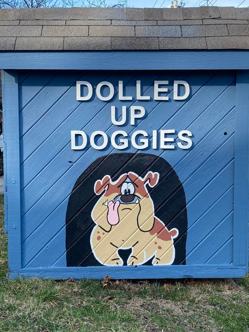 Dolled Up Doggies Cincinnati