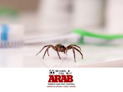 Arab Termite and Pest Control of Cincinnati, Inc.