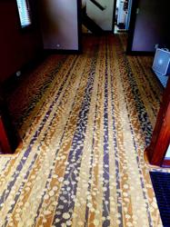 Downey Clean Carpet Cleaning