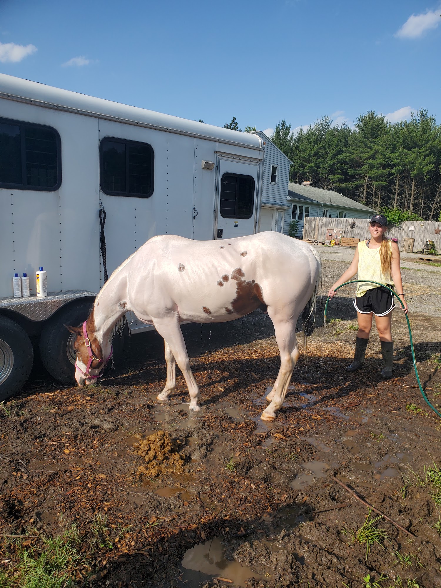 Win-Seek Fallen Pines Equestrian Center 5022 Everett Hull Rd, Cortland Ohio 44410