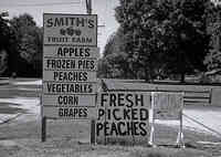 Smith's Fruit Farm