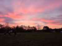 Fall Creek Equine Clinic Inc