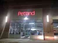 Petland Austin Landing