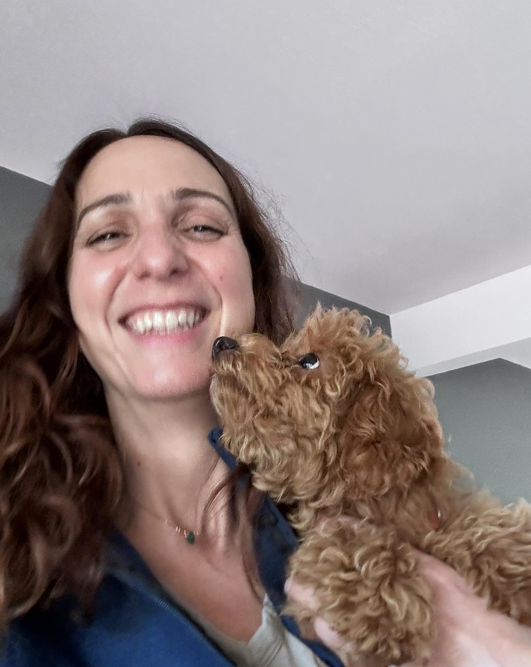 Darwin Dogs Cleveland North Olmsted