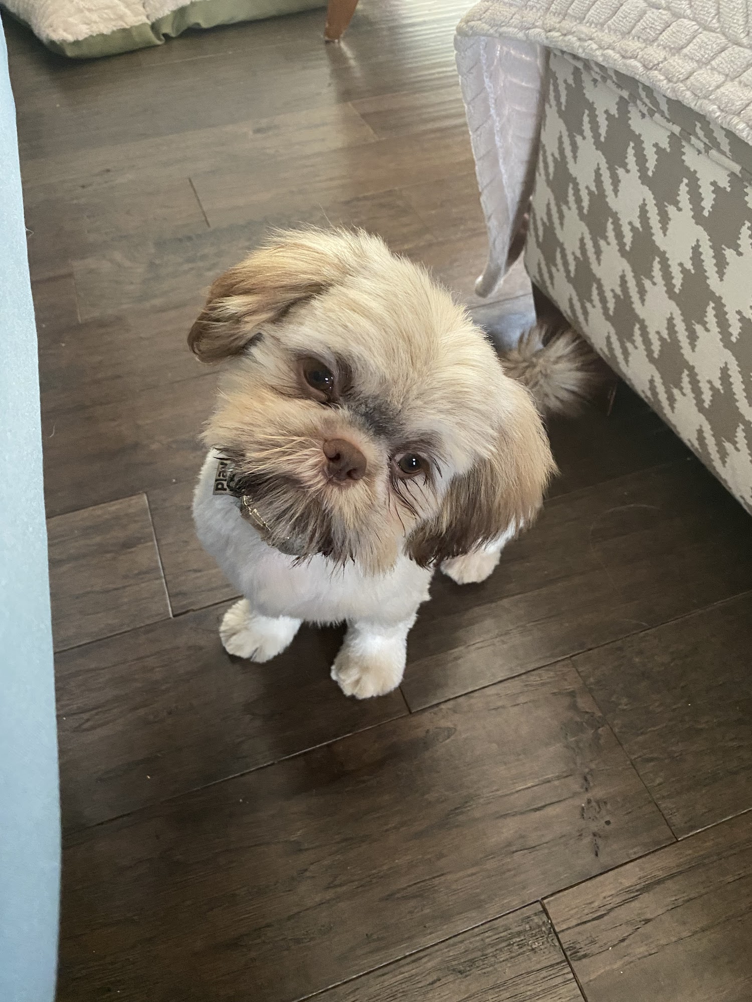 Grooming By Alex Parma