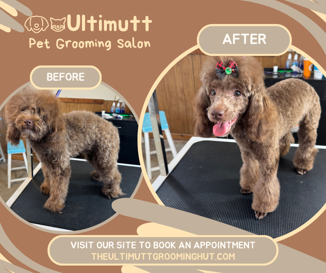 The Ultimutt Grooming Hut 1745 Frost Rd, Streetsboro Ohio 44241