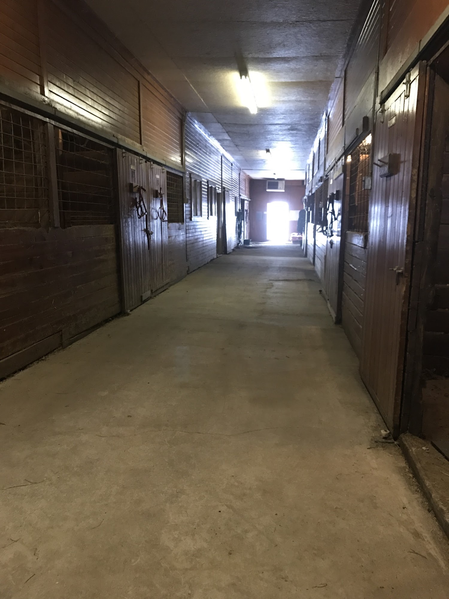 Elan Equine 41370 Peck Wadsworth Rd #9618, Wellington Ohio 44090