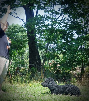 Photo credit: 