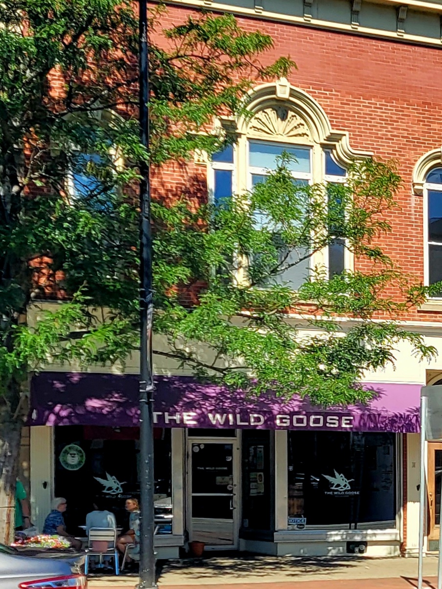 THE WILD GOOSE