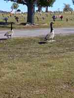 Sunset Memorial Gardens