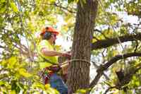 Top Notch Tree Service Tulsa