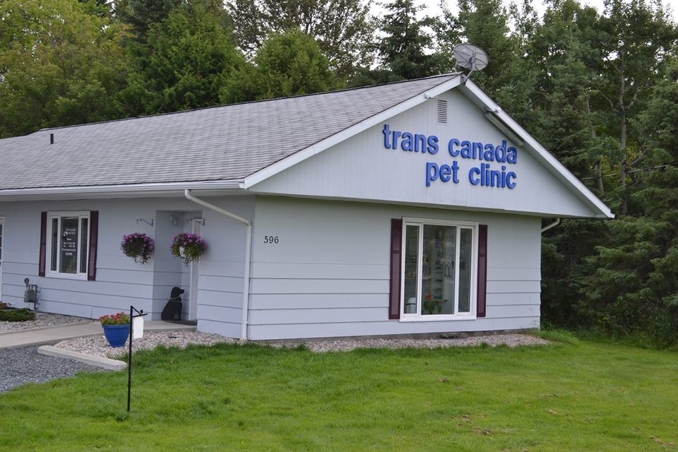 Trans Canada Pet Clinic 596 Government St, Dryden Ontario P8N 0A2