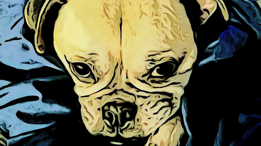 Ramsay's Recipes Etobicoke